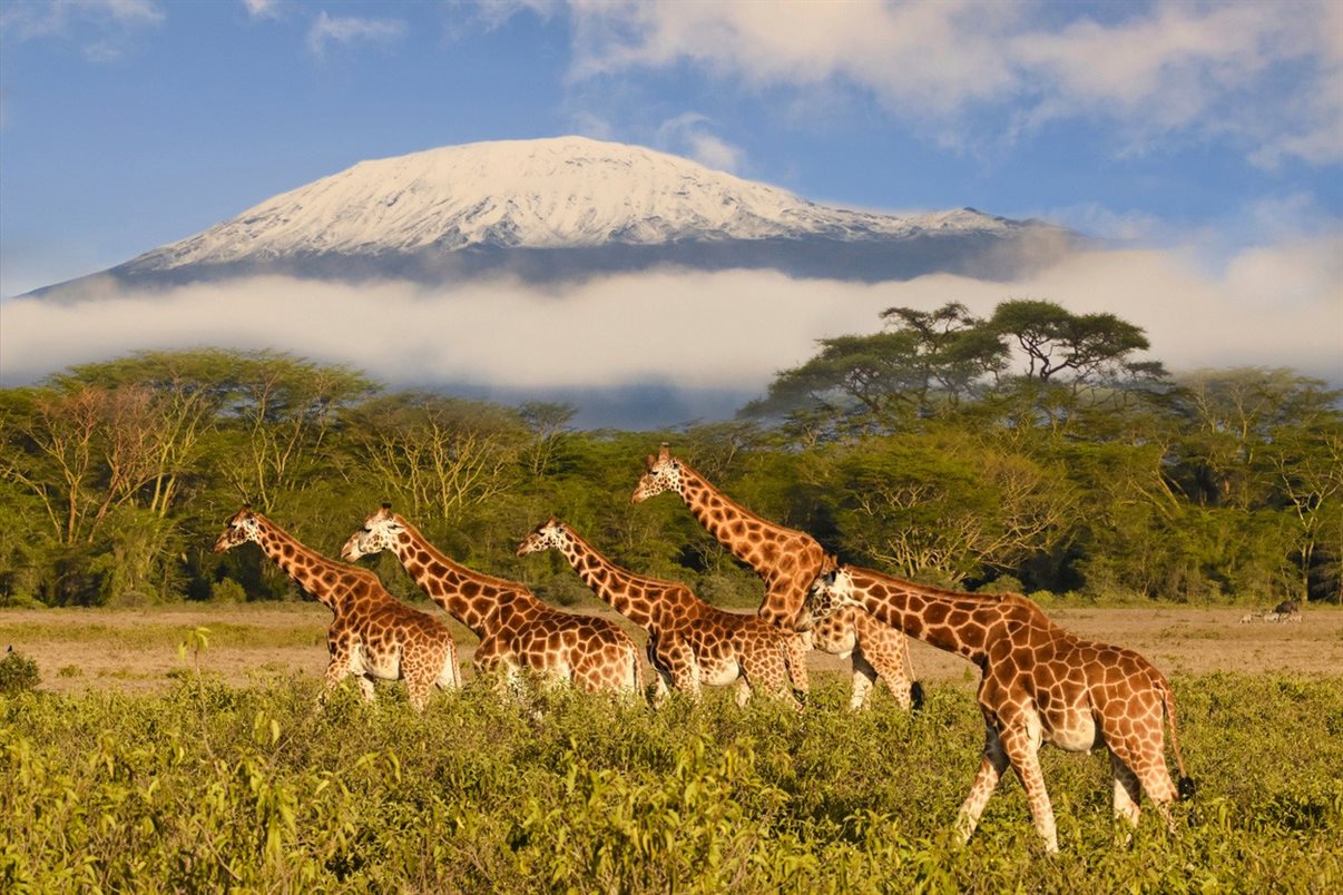 TTWhub Strengthens Its Department Specialized in African Destinations